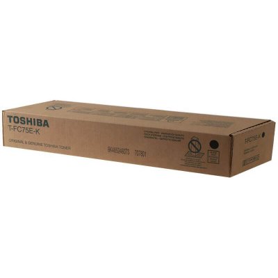 Toshiba 6AK00000252 - originální