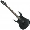 Elektrická kytara Ibanez RG421EXL