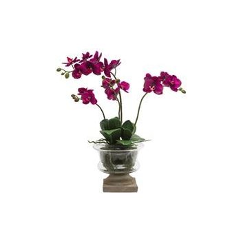SIA fialová orchidej ve skle - SIA