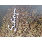 Sestry – Hledejceny.cz