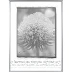 Tradag Rámeček stříbrný UH 70x100 – Zbozi.Blesk.cz