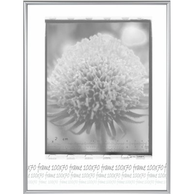 Tradag Rámeček stříbrný UH 70x100 – Zbozi.Blesk.cz