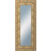 Zrcadlo Dantik KŘÍDLO 50 x 120 cm zlaté 2890