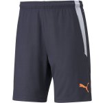 PUMA TEAMLIGA TRAINING SHORTS 2 – Zboží Dáma