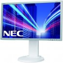 NEC E201W