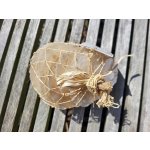 Dijk Natural Collection Mušle Capiz shell bílá 250 g – Hledejceny.cz