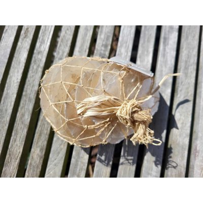 Dijk Natural Collection Mušle Capiz shell bílá 250 g – Hledejceny.cz