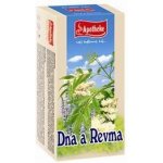 Apotheke Dna a revma bylinný čaj 20 x 1,5 g – Sleviste.cz