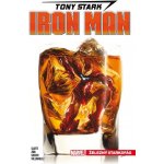 Tony Stark: Iron Man 2 - Železný starkofág, Brožovaná – Zbozi.Blesk.cz