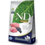 N&D Ancestral Grain Dog Adult Medium & Maxi Lamb & Blueberry 12 kg – Zboží Mobilmania