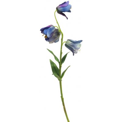Zvonek - Campanula modrý 33 cm – Zboží Mobilmania