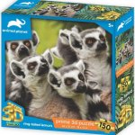 PRIME 3D PUZZLE Lemur 150 ks – Hledejceny.cz