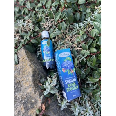 Dr. Popov Bylinné kapky Student Brain booster 50 ml – Hledejceny.cz