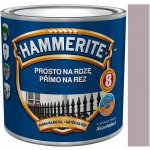 Akzo Nobel Hammerite přímo na rez 0,25L hladký stříbrný – Hledejceny.cz
