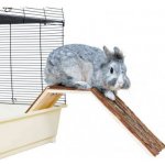 Trixie dřevěný most 63 x 18 x 15 cm – Zboží Mobilmania