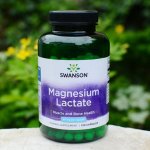 Swanson Magnesium Lactate 84 mg 120 kapslí – Hledejceny.cz