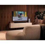 Sony Bravia 8 II K-65XR8M2 – Zboží Živě