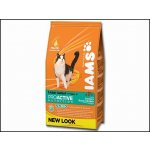 Iams ProActive Health Adult Hairball Care 3 kg – Hledejceny.cz