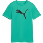 Puma TAD ESSENTIALS CAT LOGO TEE B Zelená Černá – Sleviste.cz