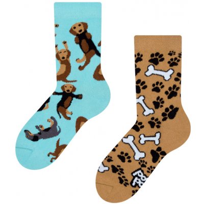 Dedoles Veselé dětské ponožky Jezevčík – Hledejceny.cz