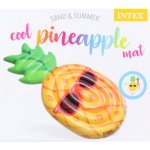 Intex 58790 COOL ANANAS – Zbozi.Blesk.cz