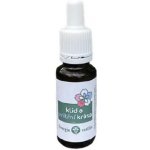 Bachovy esence Směs Klid a vnitřní krása 20 ml – Hledejceny.cz