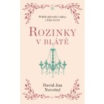 Rozinky v blátě - Dva tucty střepů - David Jan Novotný – Hledejceny.cz
