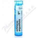 ECHINACEA ANGUSTIFOLIA POR 9CH GRA 1X4G – Hledejceny.cz