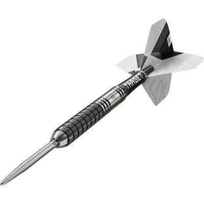 steel Target Beau Greaves G1 23g SP 90% wolfram – Zboží Dáma