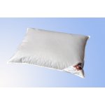 Termop polštář Excelent prachový 50x70 – Hledejceny.cz