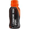 Spalovač tuků Trec Endurance L-Carnitine 3000 Sport 100 ml