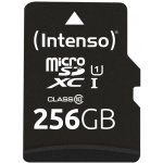 Intenso SDXC UHS-I 256 GB 3423492 – Sleviste.cz