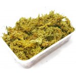 Repti Zoo Repti moss 100 g – Zboží Dáma
