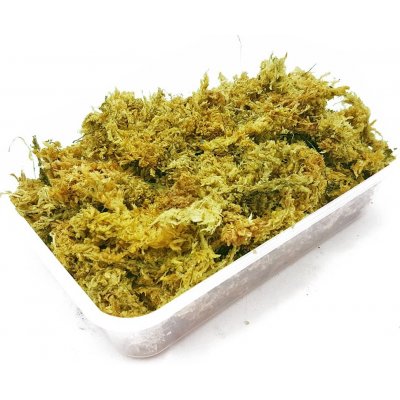 Repti Zoo Repti moss 100 g – Zbozi.Blesk.cz