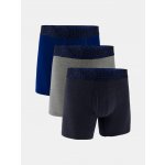 Under Armour M UA Perf Cotton 3in 3pk – Sleviste.cz