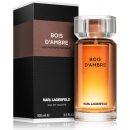 Karl Lagerfeld Bois d´Ambre toaletní voda pánská 100 ml