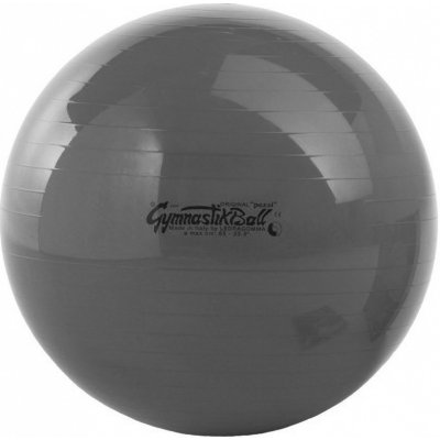 Ledragomma Gymnastik Ball Standard 65 cm – Zboží Dáma