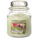 Yankee Candle Lemongrass & Ginger 623 g