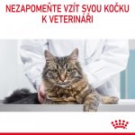 Royal Canin Hair & Skin Care 2 kg – Zbozi.Blesk.cz