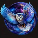 Norimpex diamantové malování Noční sova 30 x 40 cm – Sleviste.cz