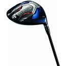 Callaway Big Bertha B21