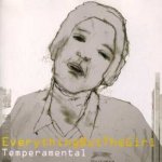 Temperamental - 2019 Half Speed Master - Everything But the Girl LP – Hledejceny.cz