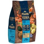 Polaris Grain Free pes Adult losos krůta 12 kg – Zboží Mobilmania