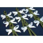 Svatební vývazky s perličkou a atlasovou stužkou (1 ks) – Zboží Dáma