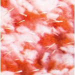 Lamart LT8036 Push 2v1 plochý mop 32x11 – Zboží Mobilmania