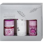 Saloos Anti-Age & Hydratace pleti 100% Bio růžová voda 50 ml + Hyaluronové sérum 50 ml + Argan Revital hydrofilní odličovací olej 50 ml dárková sada – Zboží Mobilmania