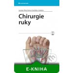 Chirurgie ruky - Pilný Jaroslav, Slodička Roman, kolektiv – Hledejceny.cz