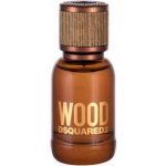 Dsquared2 Wood toaletní voda pánská 30 ml – Hledejceny.cz