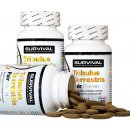 Survival Tribulus terrestris fair power 90 tablet