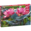 Puzzle Cherry Pazzi Růžový květ lotusu 500 dílků